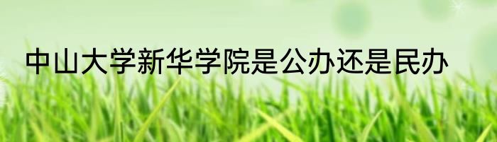 中山大学新华学院是公办还是民办