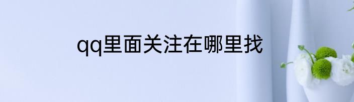 qq里面关注在哪里找