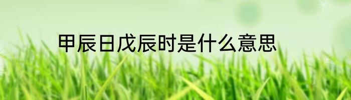 甲辰日戊辰时是什么意思