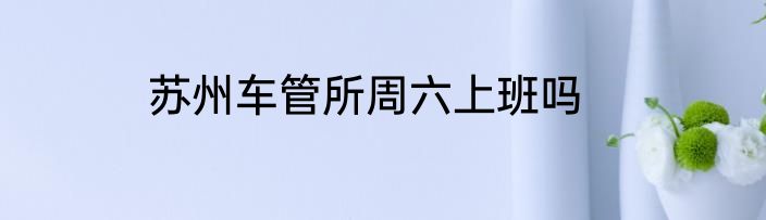 苏州车管所周六上班吗