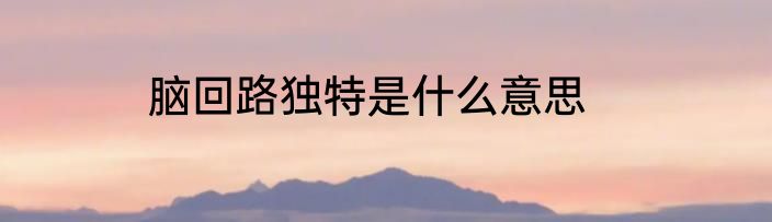 脑回路独特是什么意思