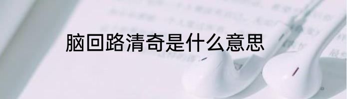 脑回路清奇是什么意思