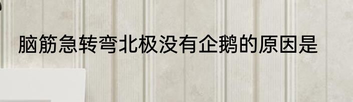 脑筋急转弯北极没有企鹅的原因是