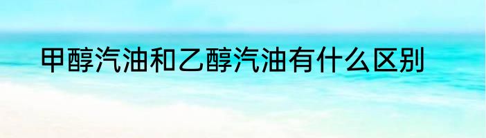 甲醇汽油和乙醇汽油有什么区别