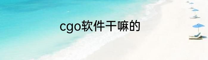 cgo软件干嘛的