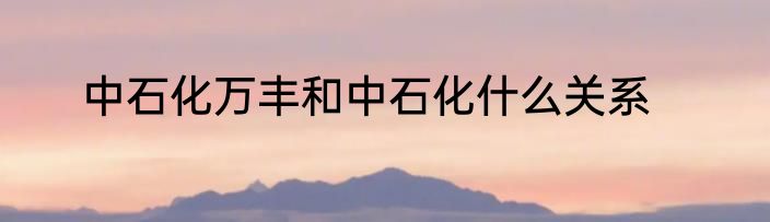 中石化万丰和中石化什么关系