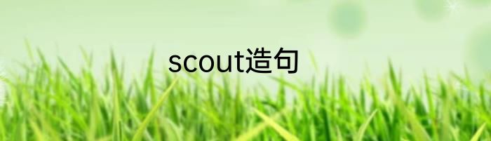 scout造句