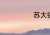 苏大强是什么梗