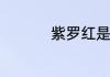 紫罗红是天然还是人造