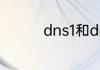 dns1和dns2分别是什么