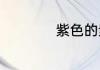 紫色的紫字怎么组词