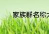 家族群名称大全微信名有什么