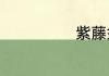 紫藤盆景怎么养