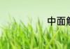 中面解释是什么