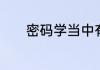密码学当中有什么类型的密码