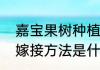 嘉宝果树种植嫁接方法嘉宝果树种植嫁接方法是什么