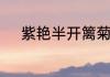 紫艳半开篱菊静的上一句是什么