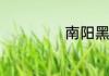 南阳黑猪是什么猪