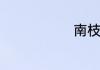 南枝词语意思