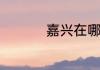嘉兴在哪里在哪个省份
