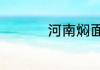 河南焖面条的家常做法