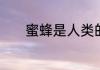 蜜蜂是人类的好朋友的宣传语