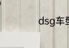 dsg车型是什么意思