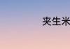 夹生米饭如何处理