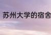 苏州大学的宿舍环境和生活设施如何