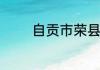 自贡市荣县大佛门票是多少