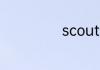 scout是什么星座