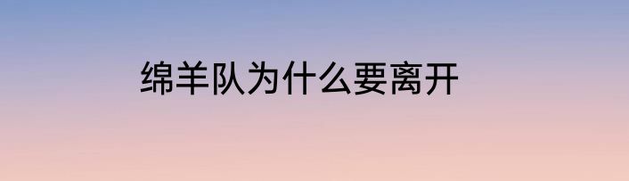 绵羊队为什么要离开