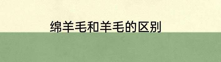 绵羊毛和羊毛的区别