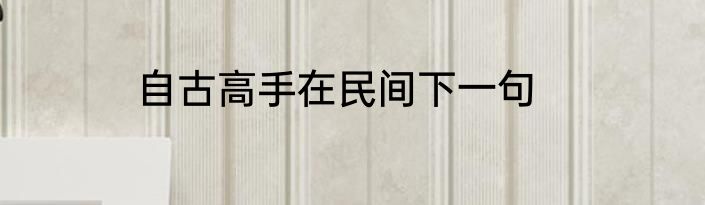 自古高手在民间下一句