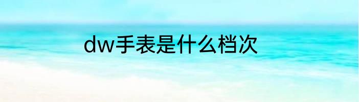 dw手表是什么档次