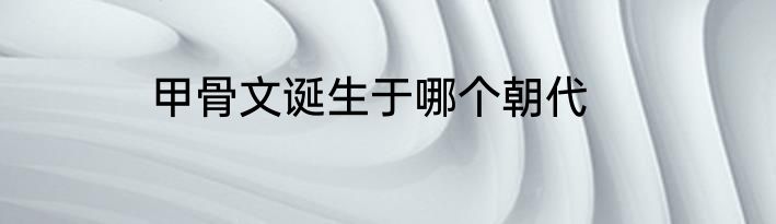 甲骨文诞生于哪个朝代