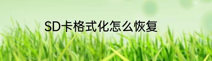 SD卡格式化怎么恢复