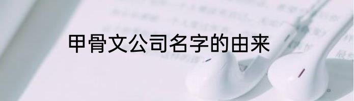 甲骨文公司名字的由来