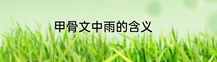 甲骨文中雨的含义