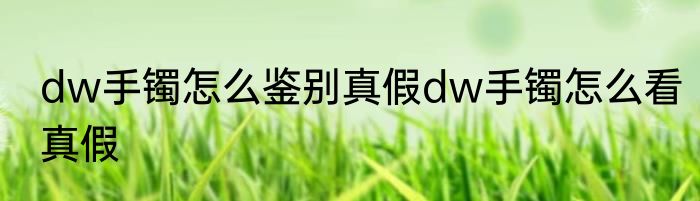 dw手镯怎么鉴别真假dw手镯怎么看真假