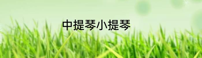 中提琴小提琴