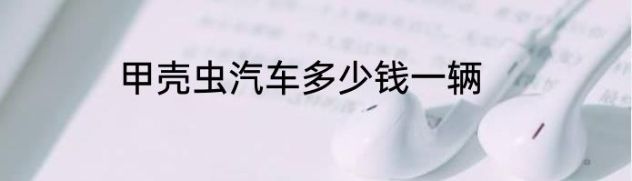 甲壳虫汽车多少钱一辆