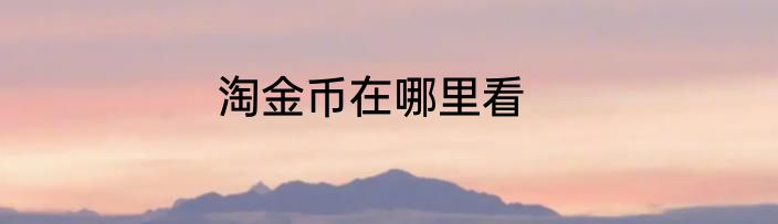 淘金币在哪里看
