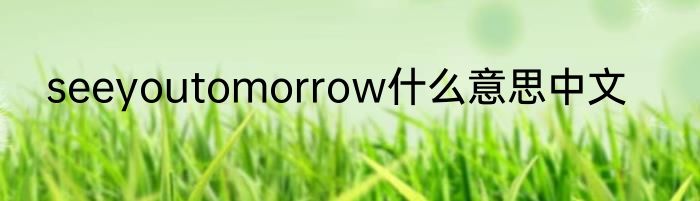 seeyoutomorrow什么意思中文