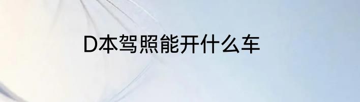 D本驾照能开什么车