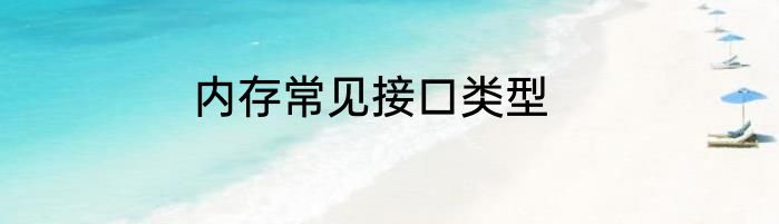 内存常见接口类型