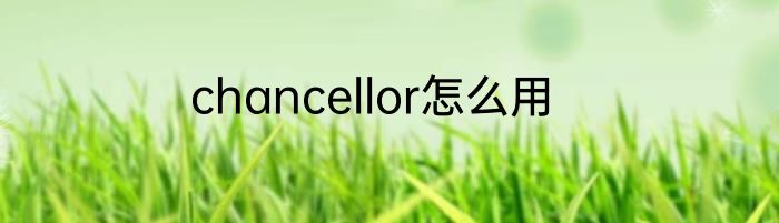 chancellor怎么用
