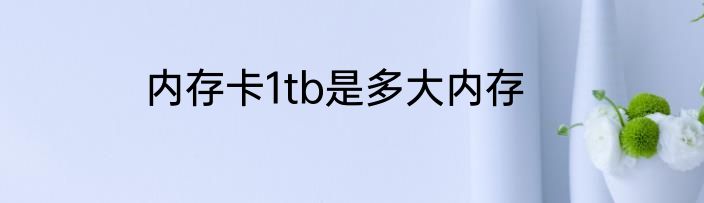 内存卡1tb是多大内存