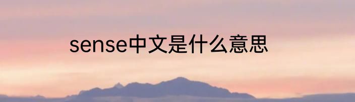 sense中文是什么意思