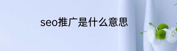 seo推广是什么意思